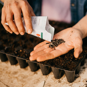 Mastering Seed Starting: A Hands-On Workshop for Flower Growers