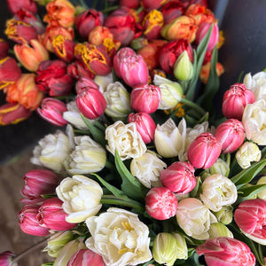 ROOTED FLOWERS SPRING FRESH FLOWER SUBSCRIPTION