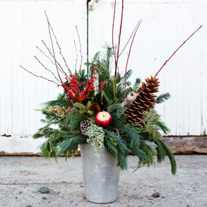 Rooted Flowers Winter Holiday Planter